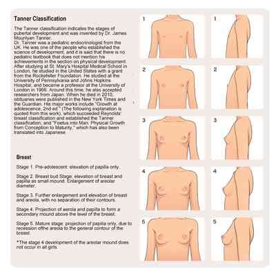 Shoujo Hatsuiku Nenji no Keikou to Tenbou 4