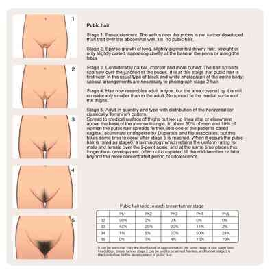 Shoujo Hatsuiku Nenji no Keikou to Tenbou 5