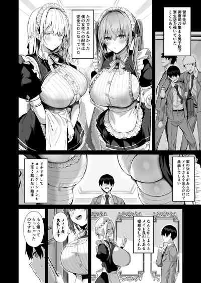 Love Maid 8