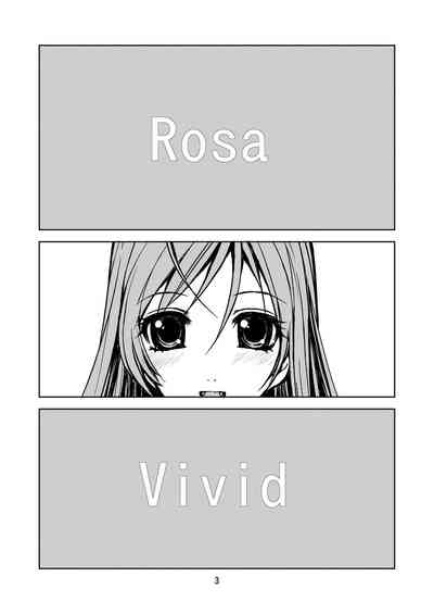 RV - Rosa Viva 3