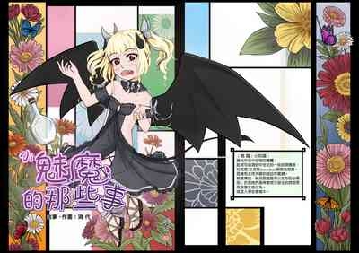 小魅魔的那些事 1