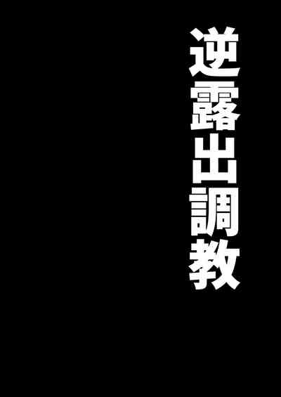 Gyaku Roshutsu Choukyou 2