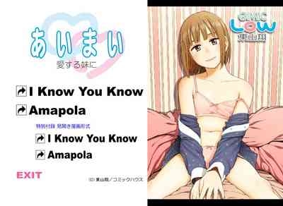 Ai Mai 1