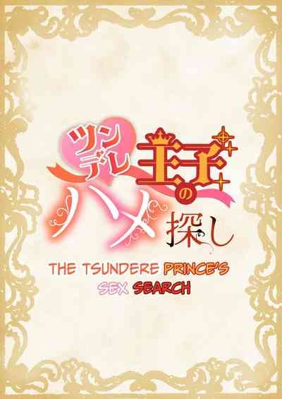 The Tsundere Prince's Sex Search 2