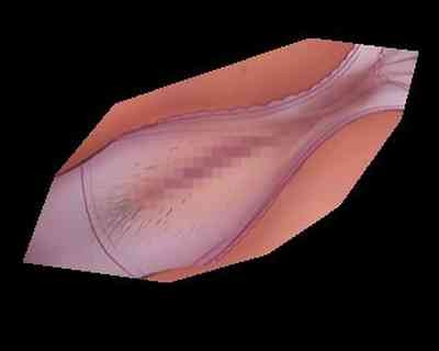 Hajimete no Ganmen Kijou Feat. Kitani Sai 7