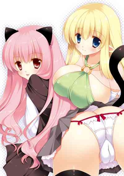 Zero no Tsukaima Soushuuhen 2