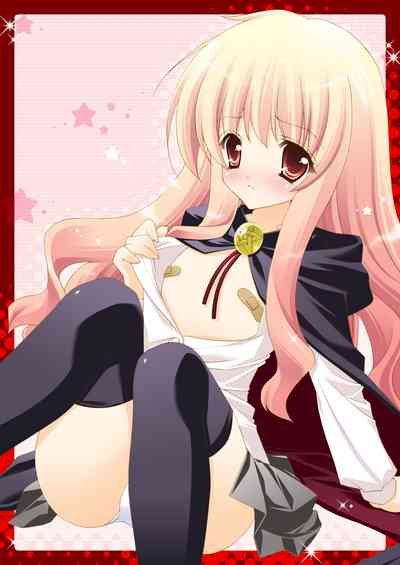 Zero no Tsukaima Soushuuhen 5