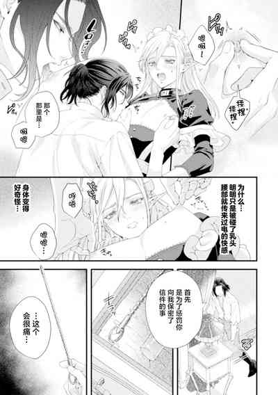 Shuujin wa Hiroware Elf o Midareotoshitai 10