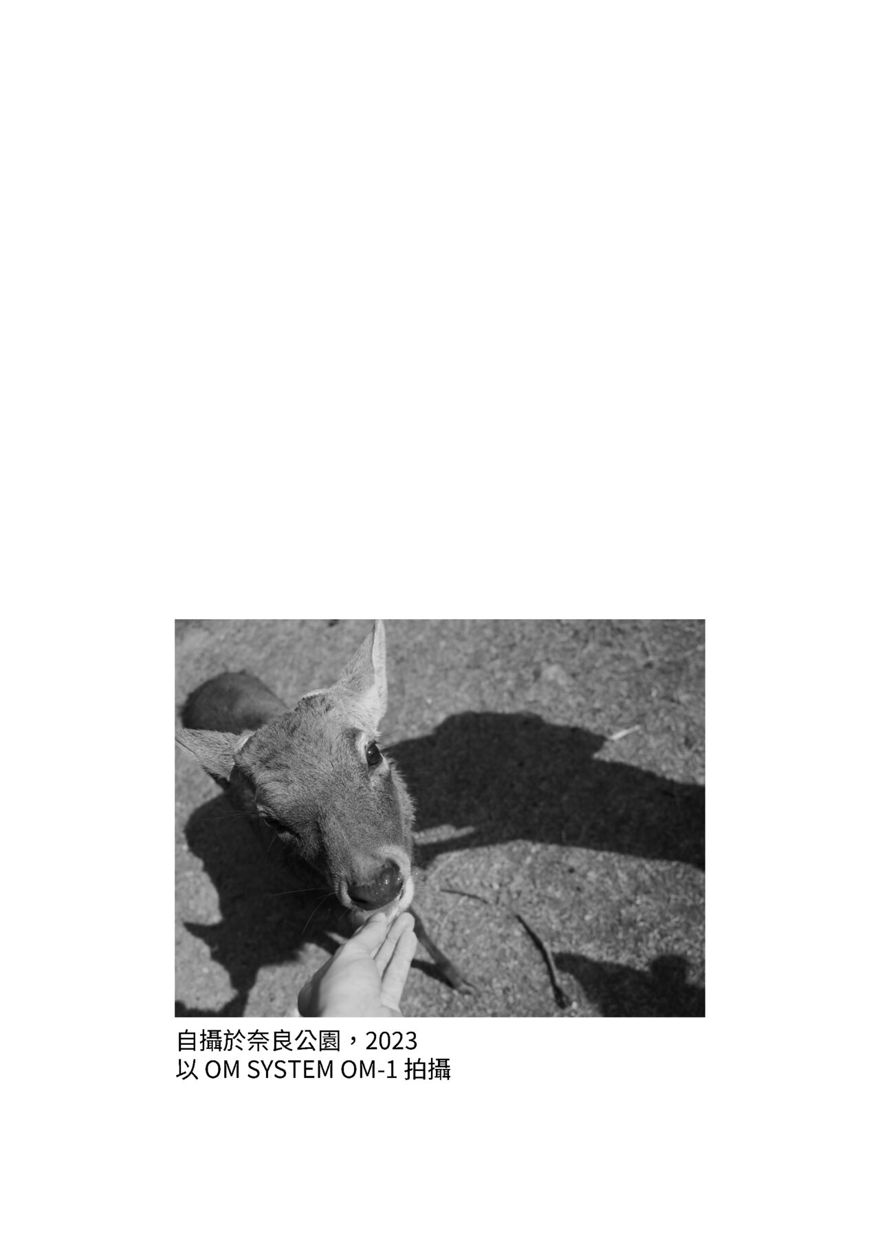 しかのこしこしこうでぱんぱん - Page 17