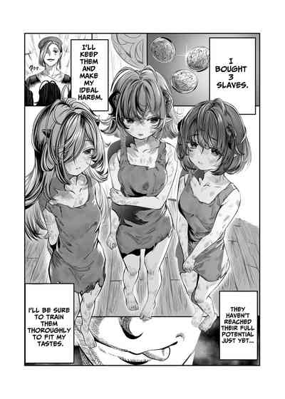 Dorei o Choukyou shite Harem Tsukuru"Manga Ban" | Training My Servants To Create A Harem 2