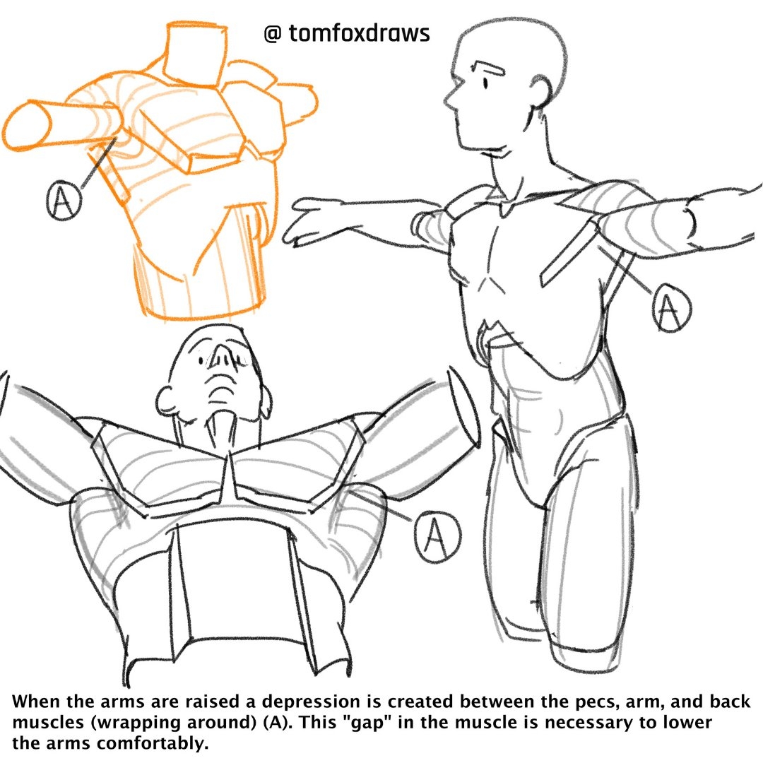 tomfox draws 5