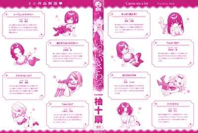 Ippai Sawatte 3
