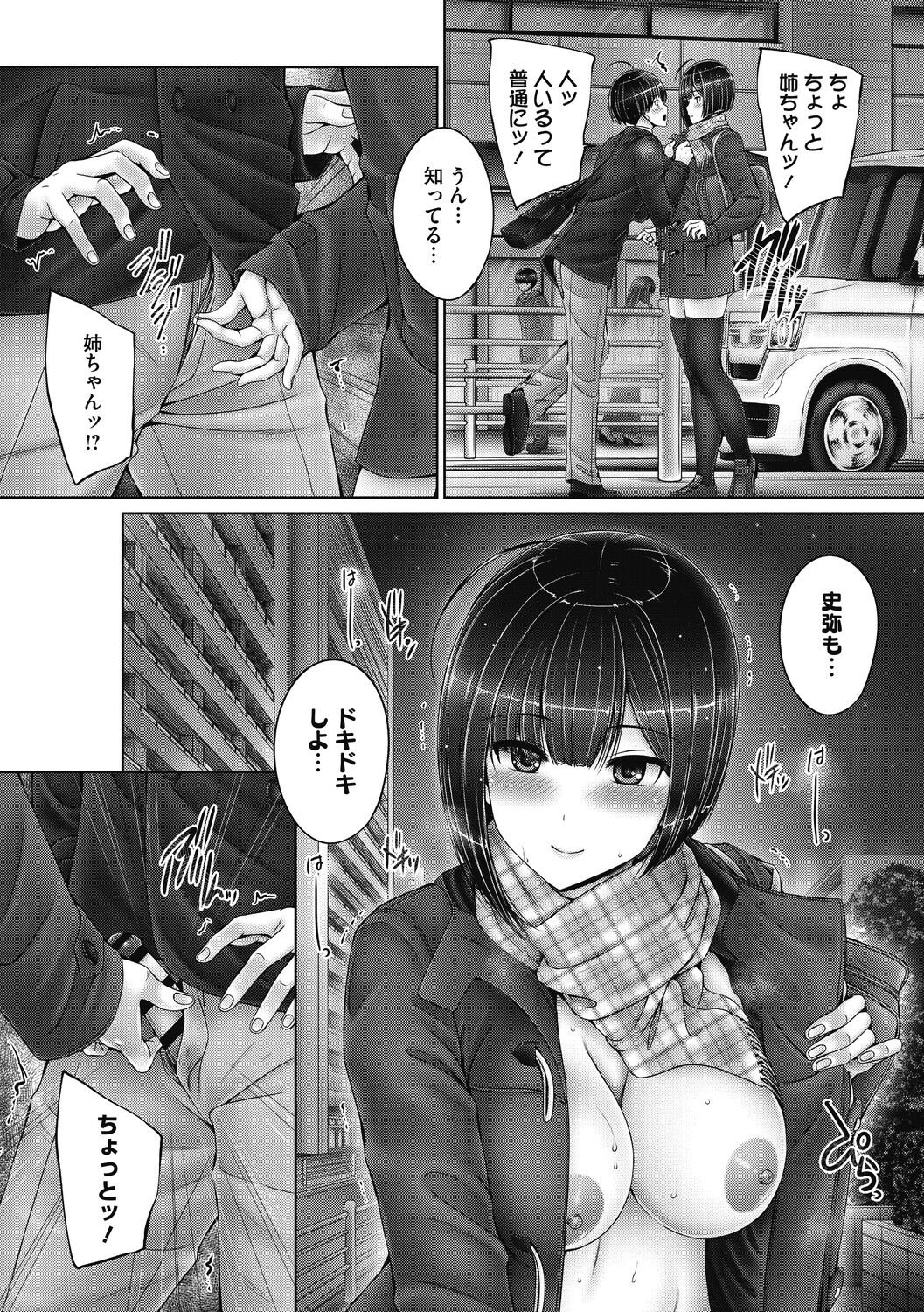 Kyoudai de Doki Doki Hojuu-chuu 67