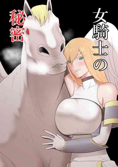 女騎士の秘密 1