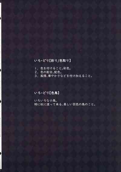 Colorful Connect 10th:Dive 4