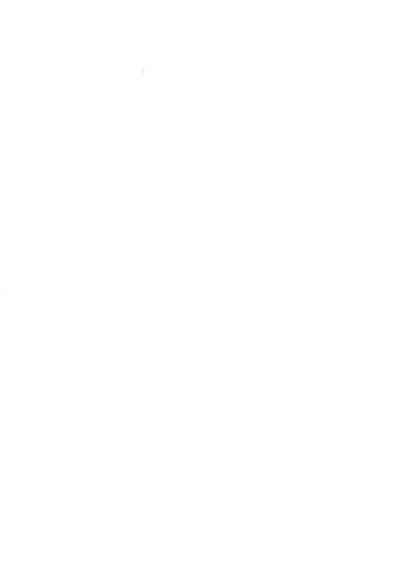 Soumatou ni Miru Yume 2