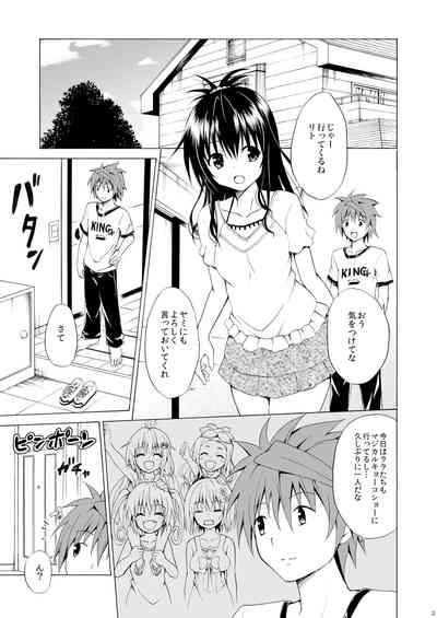Trans H 2