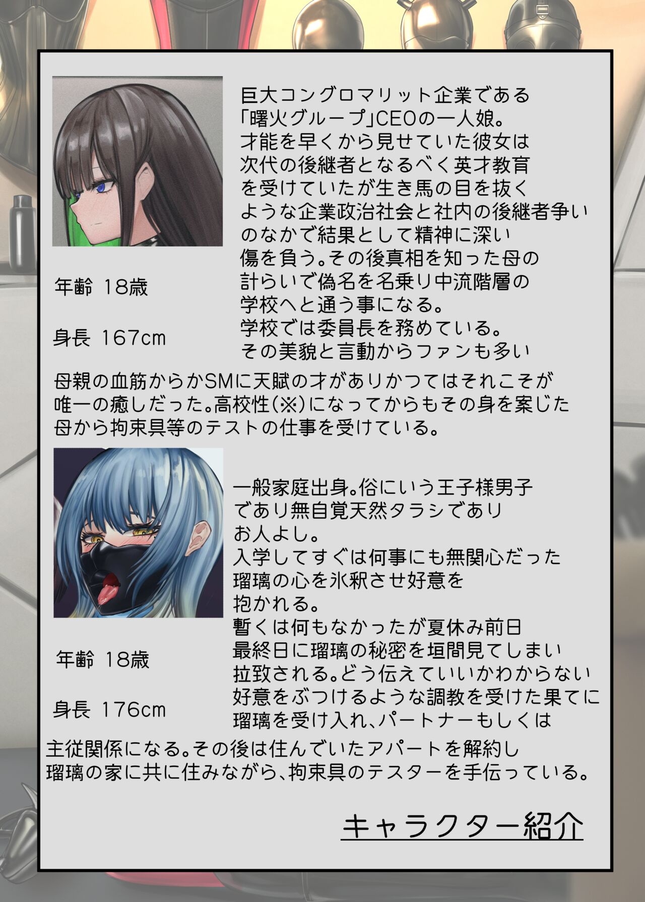 瑠璃と月葉のテスター日誌 19