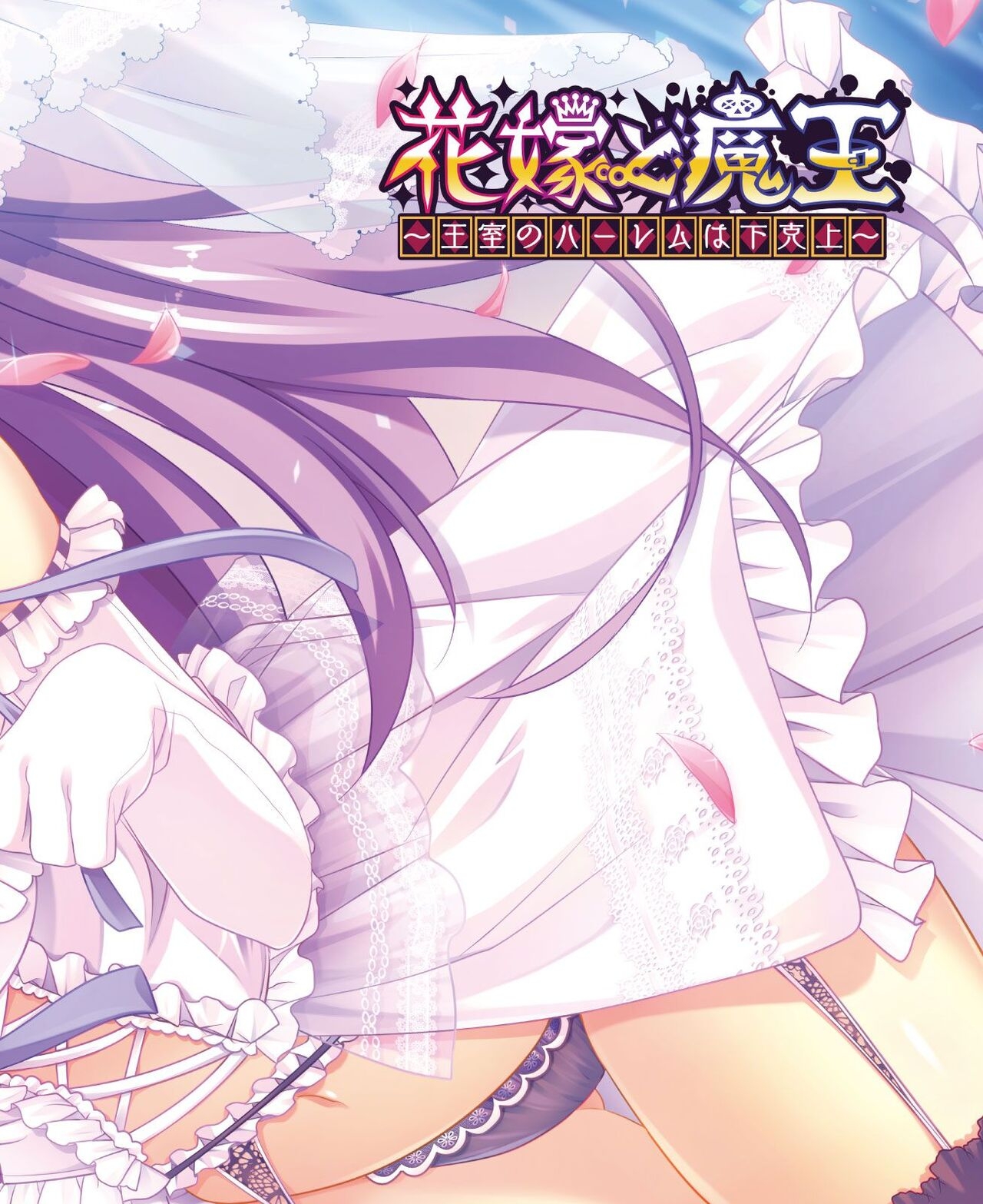 DENGEKI HIME 2014-04 80