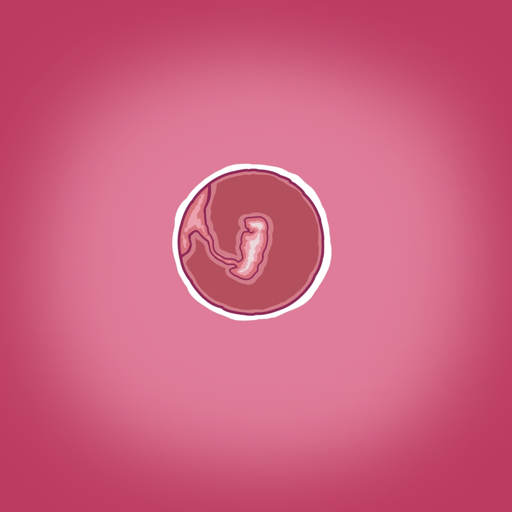 Yumi's Study Abroad/由美的留学生活（汉化）（连载中） - Page 14