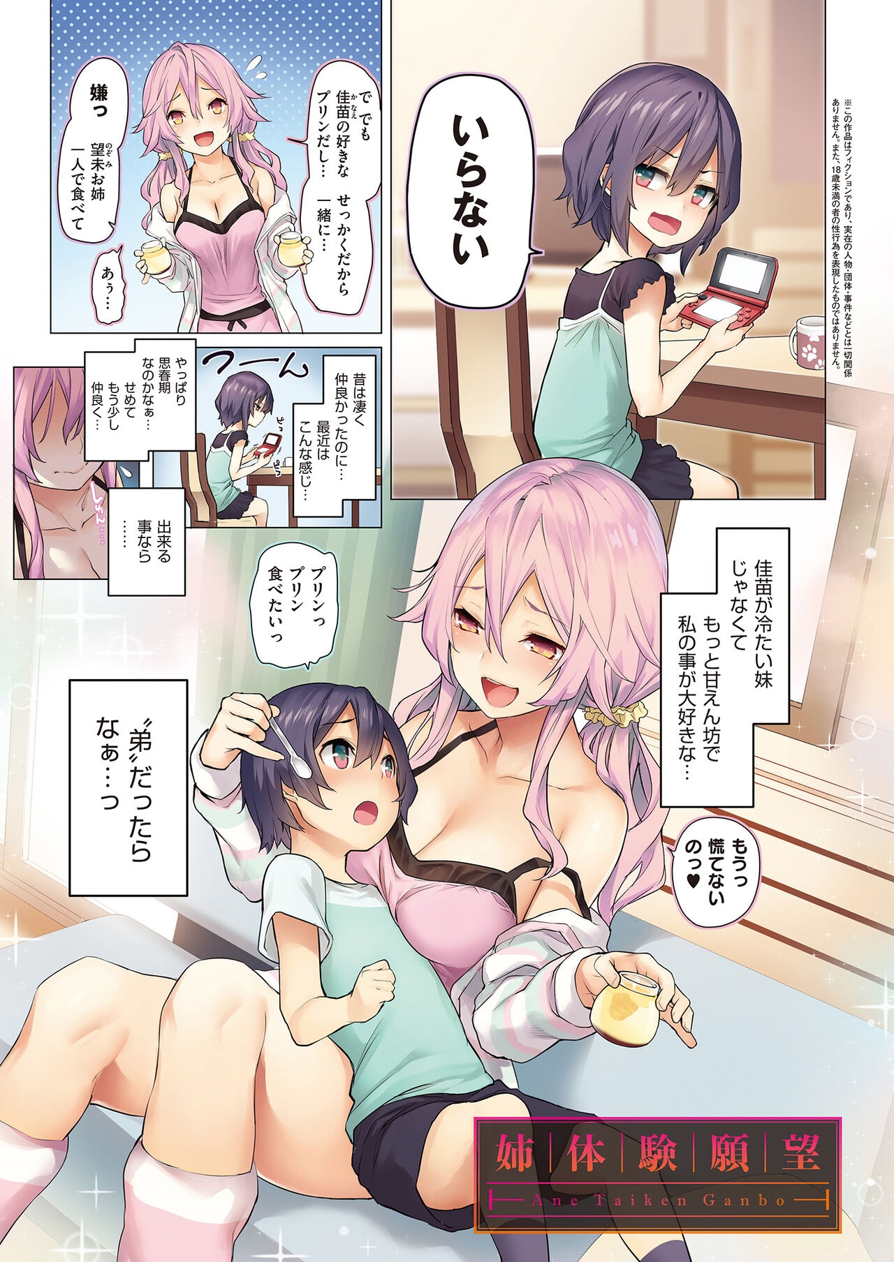 Ane Taiken Jogakuryou - Page 7