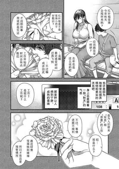 autumn colors | 秋日的颜色 4