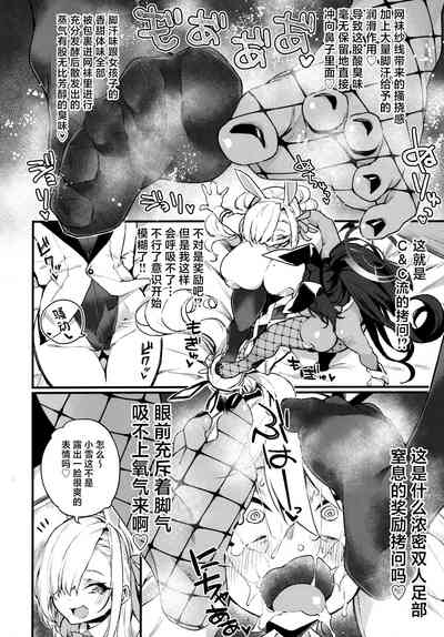 WHITE RABBIT HUNTING 5