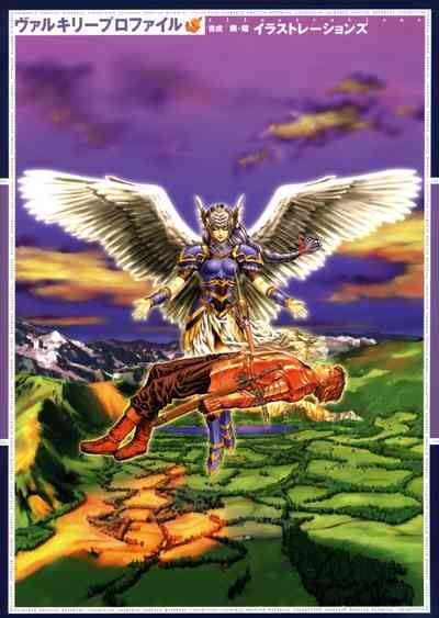 Valkyrie Profile Settings Data Collection_20241021 1