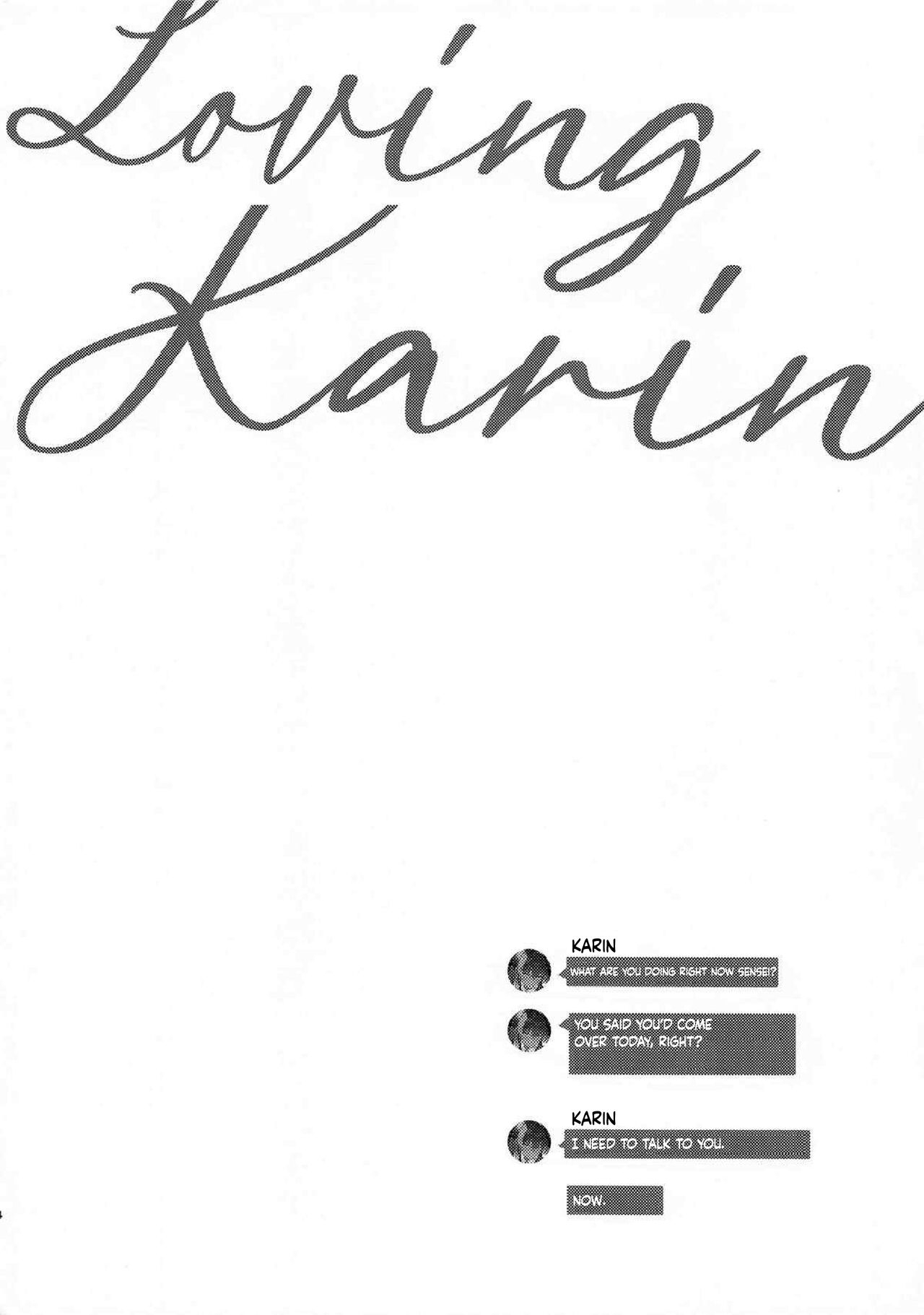 Loving Karin - Page 3