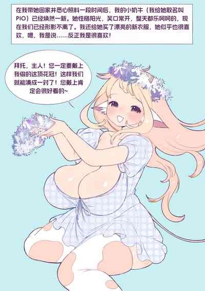 收养一头小母牛 3