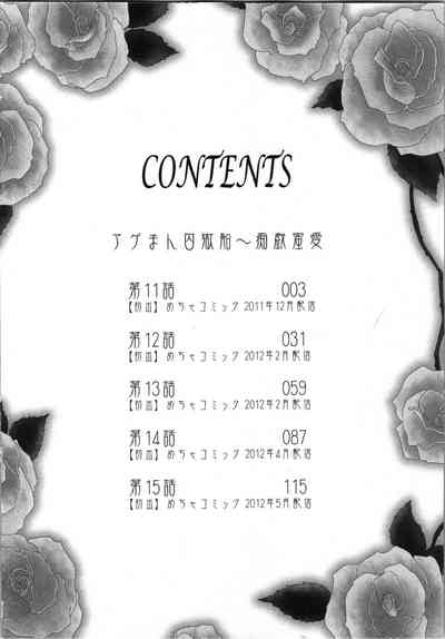 Ageman Shuugokusen 3 4