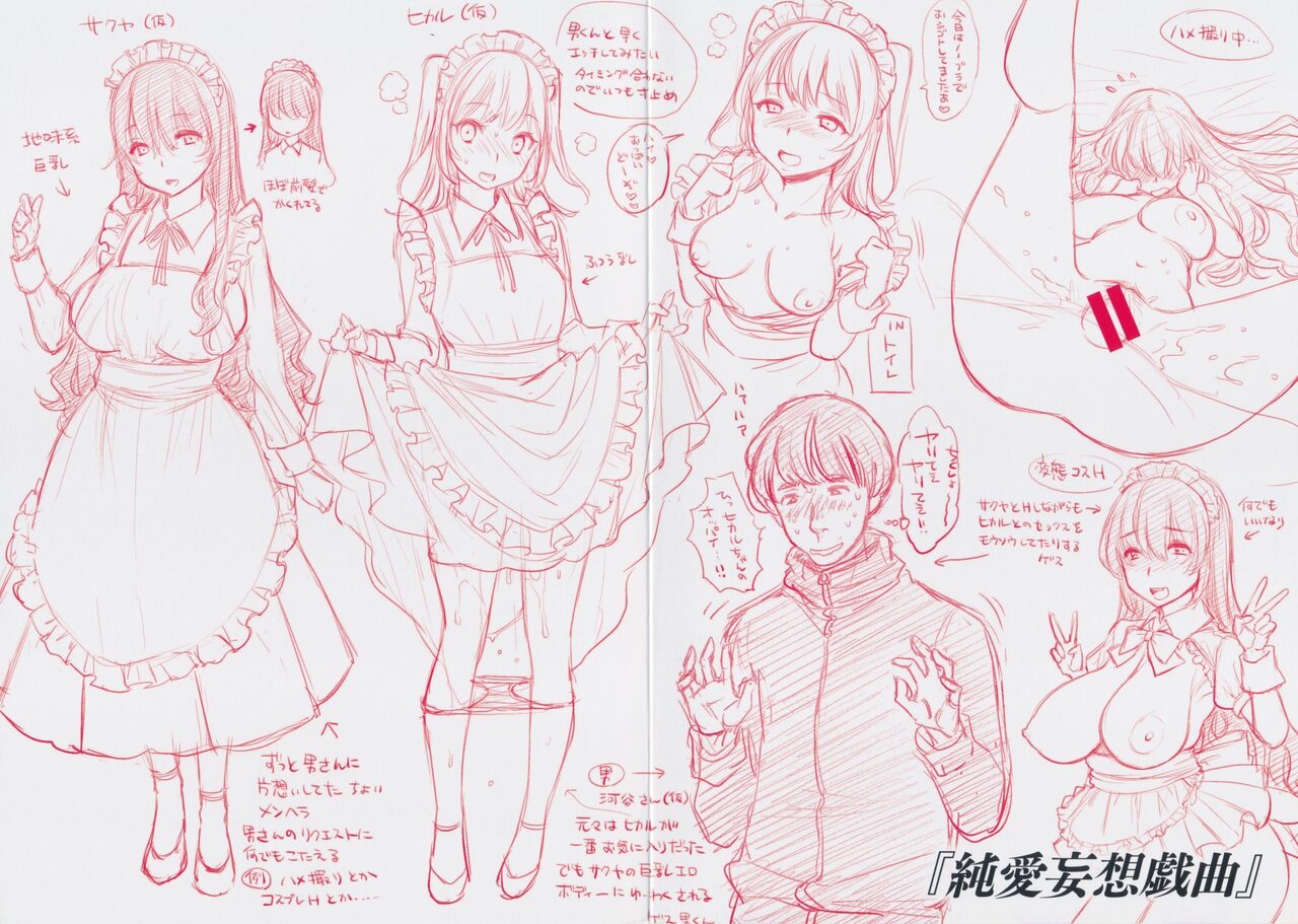 Fushidara Honey Melonbooks Gentei Shousasshi Plot Note 2
