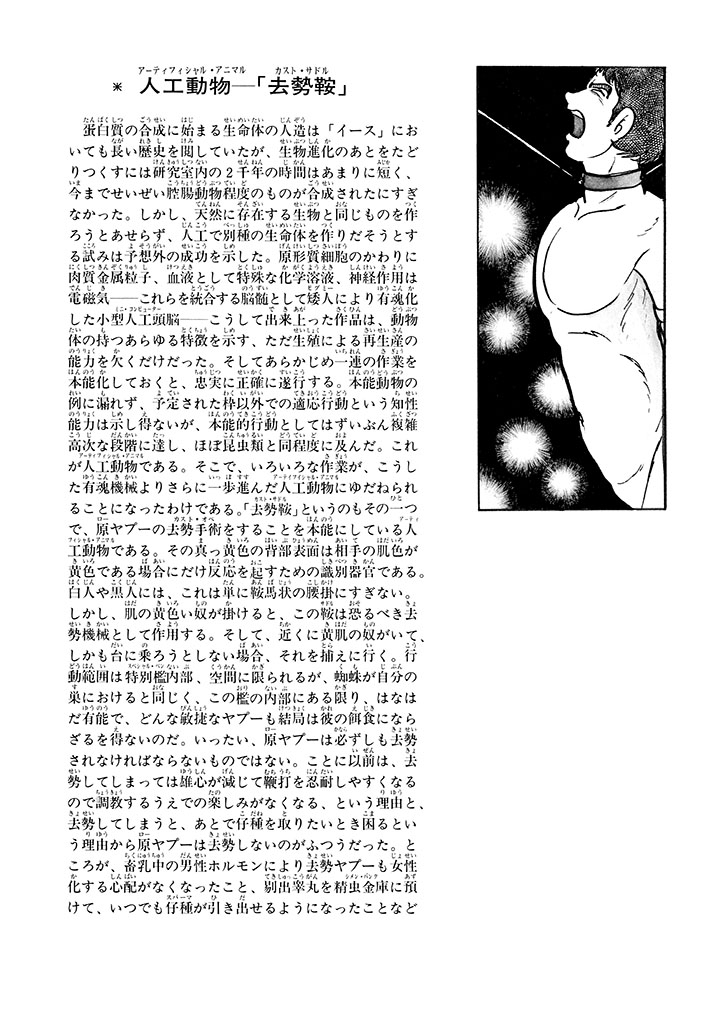 GekIga Yapoo Koufuku 1 239