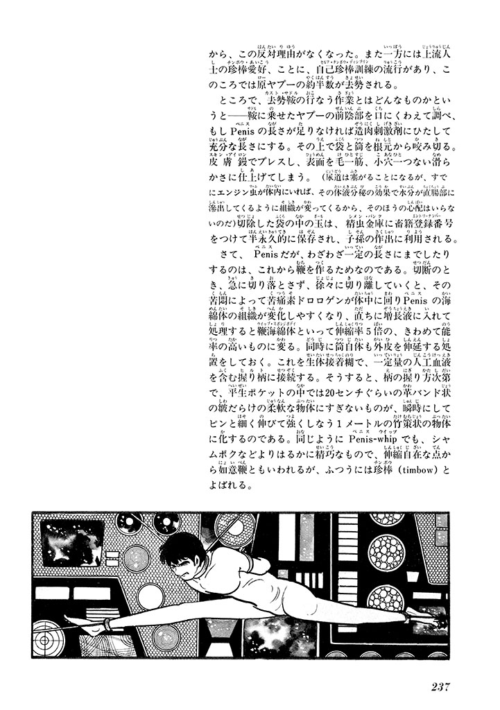 GekIga Yapoo Koufuku 1 240