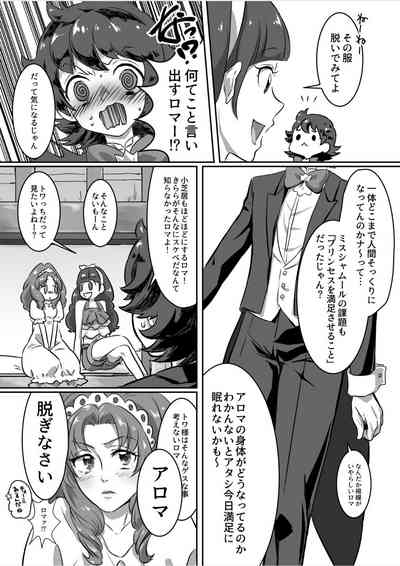Princess no Dorei 5