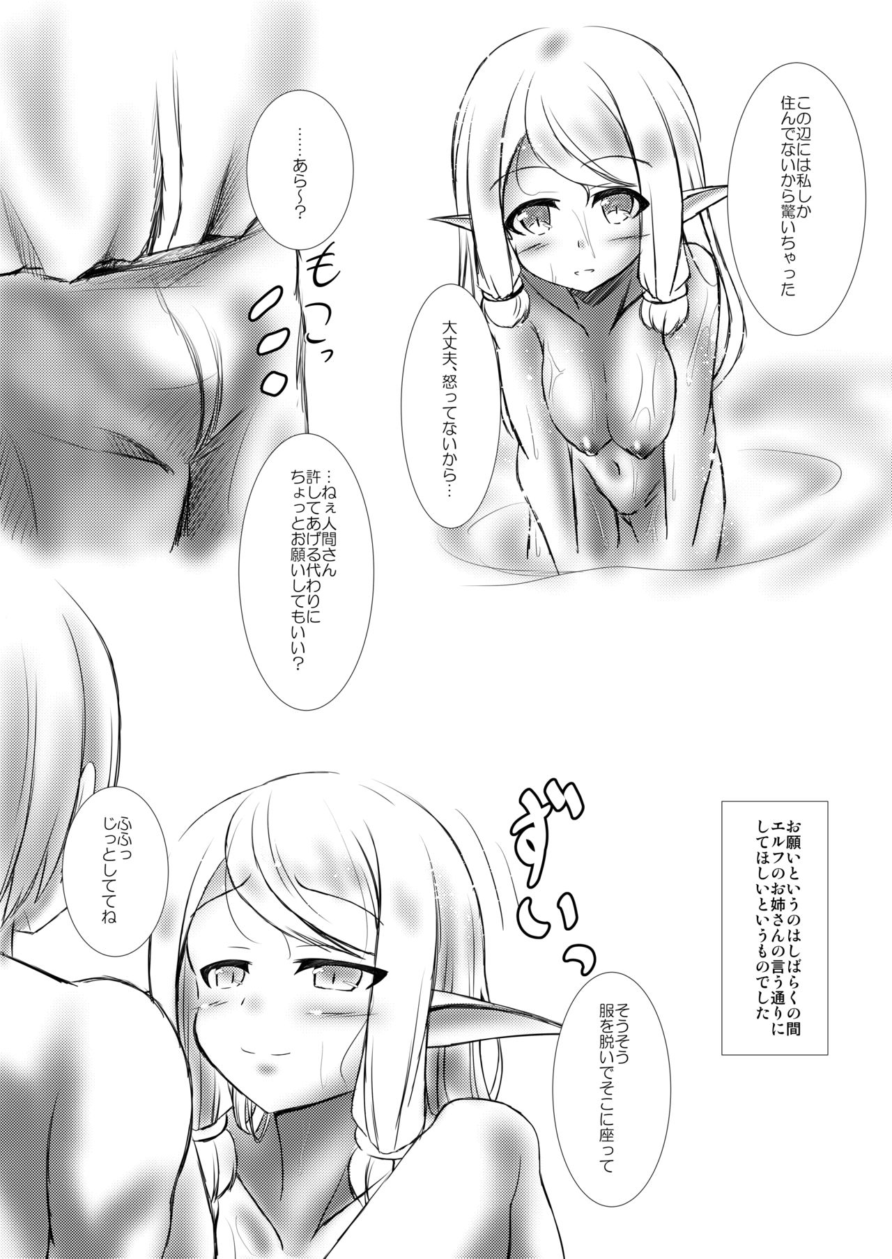 Elf Musume to no Kouryuu Seikatsu + Elf no Omocha - Page 30