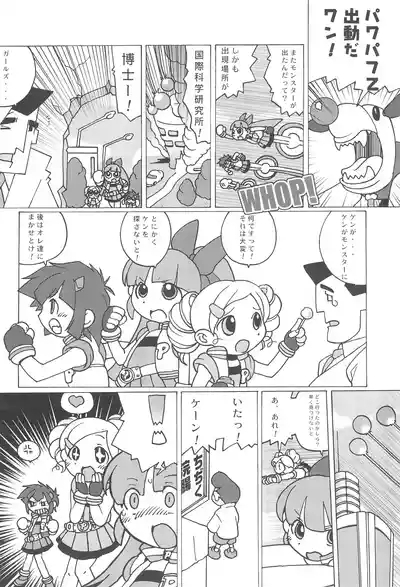 PPG FLASH! 10