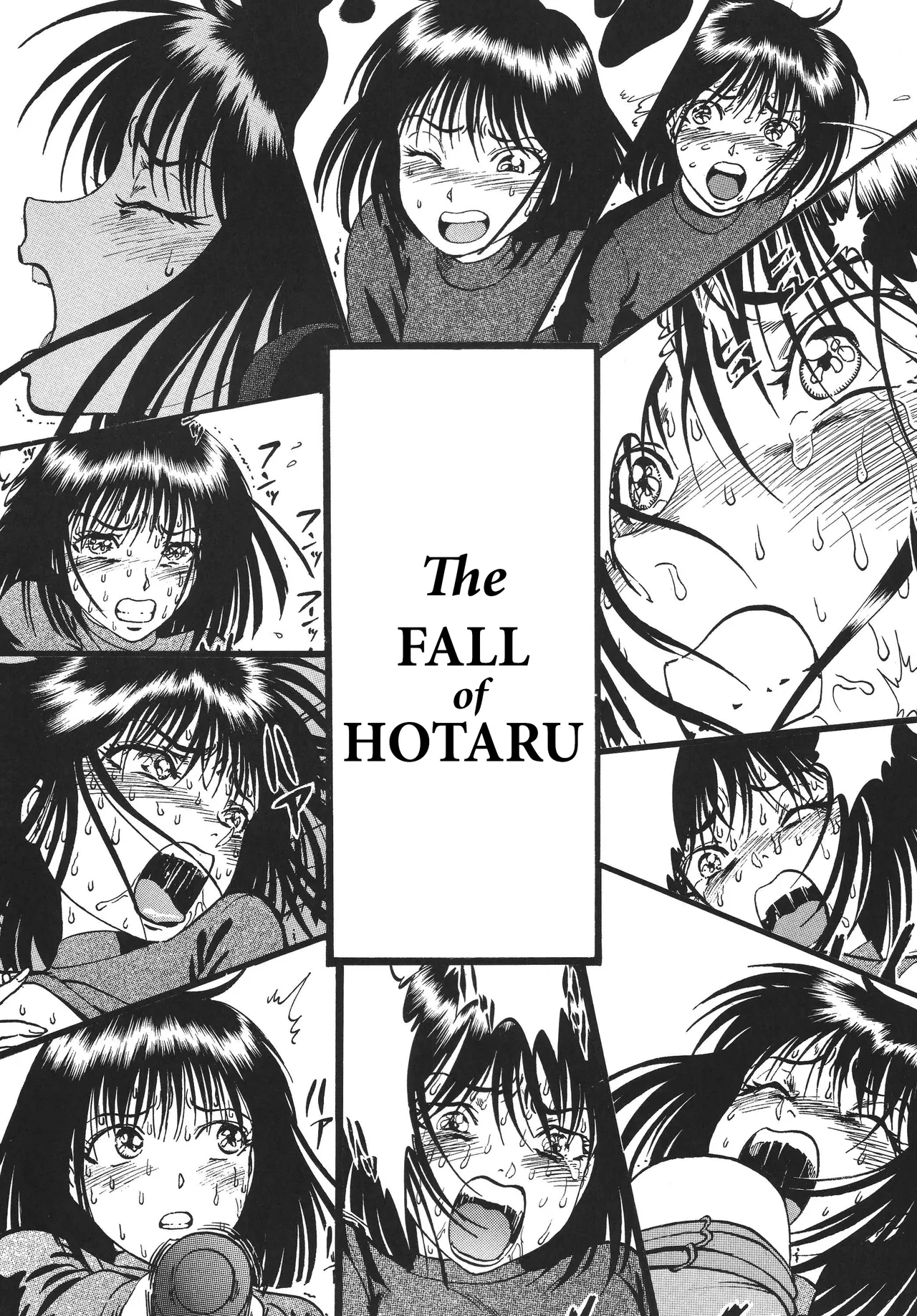 Hotaru no Shizuku | The Fall of Hotaru - Page 3