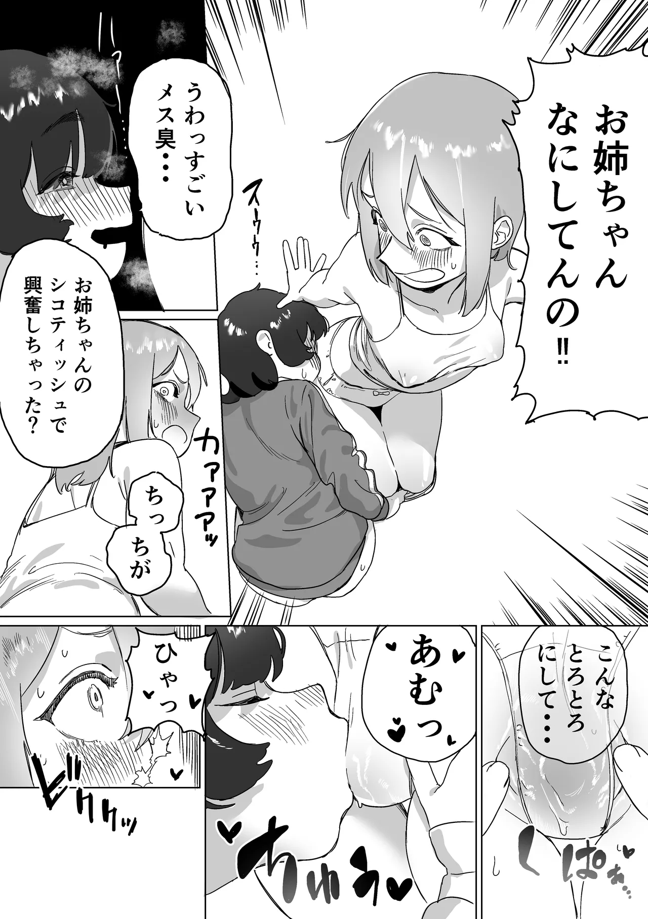 Hikikomori no Ane ni Chinchin ga Haetara - Page 26