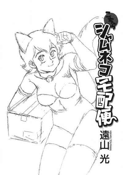 Shamese's Delivery Service 2