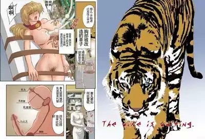 Hitozuma Juukan Gishiki IN, USA - four 2