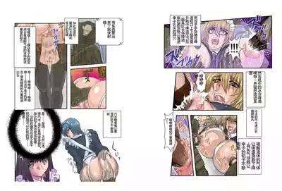 Dorei Maid Dai San Shou 8