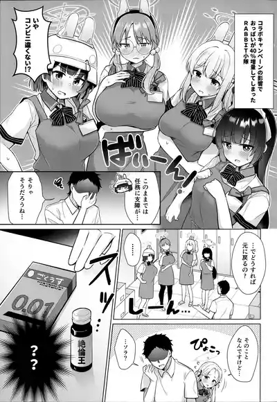 RABBIT Shoutai 40% Zouryou Campaign chuu 2