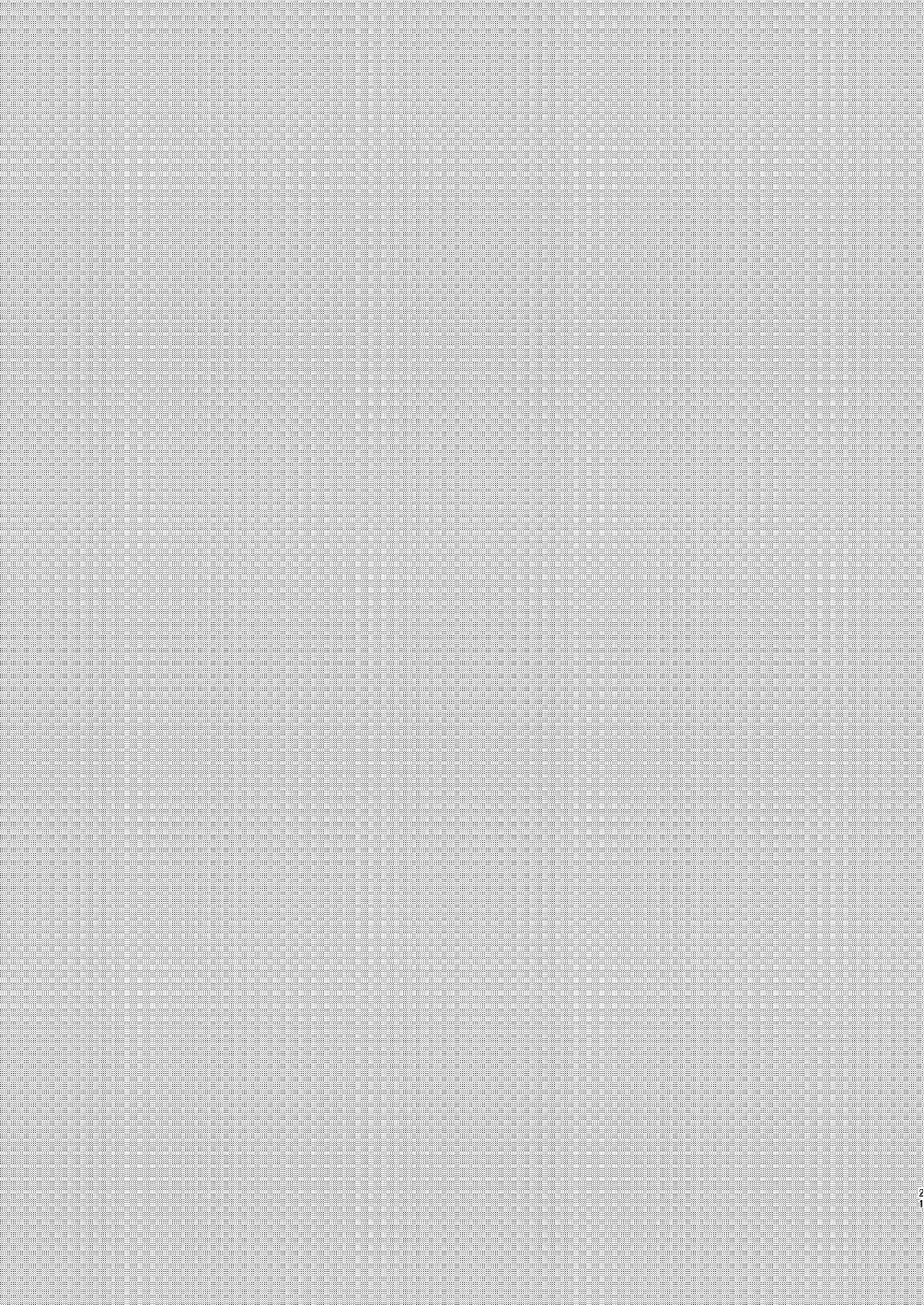 Renpou Kikan Inkou Katsudou Roku | 联邦机关淫行活动录 - Page 21