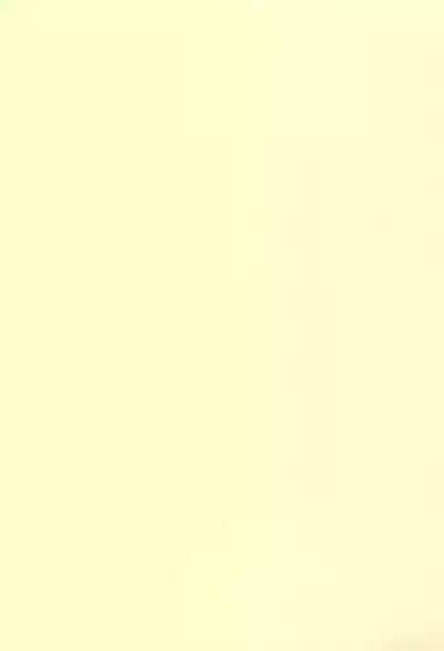 Mako to Himitsu no Itazura #3 ~Mako to Manabou!! 3