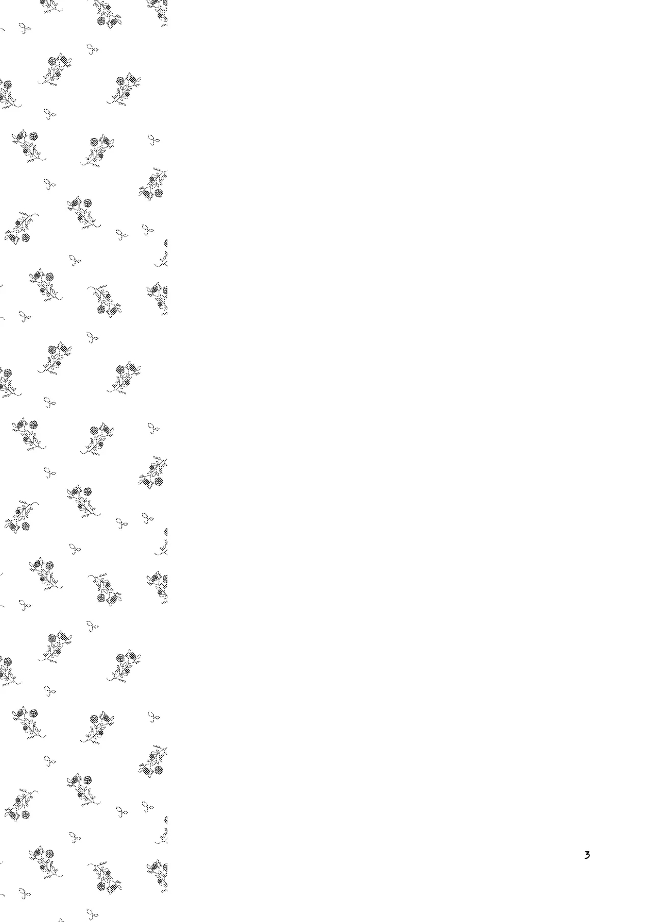 Hanakanmuri - flower crown - Page 3