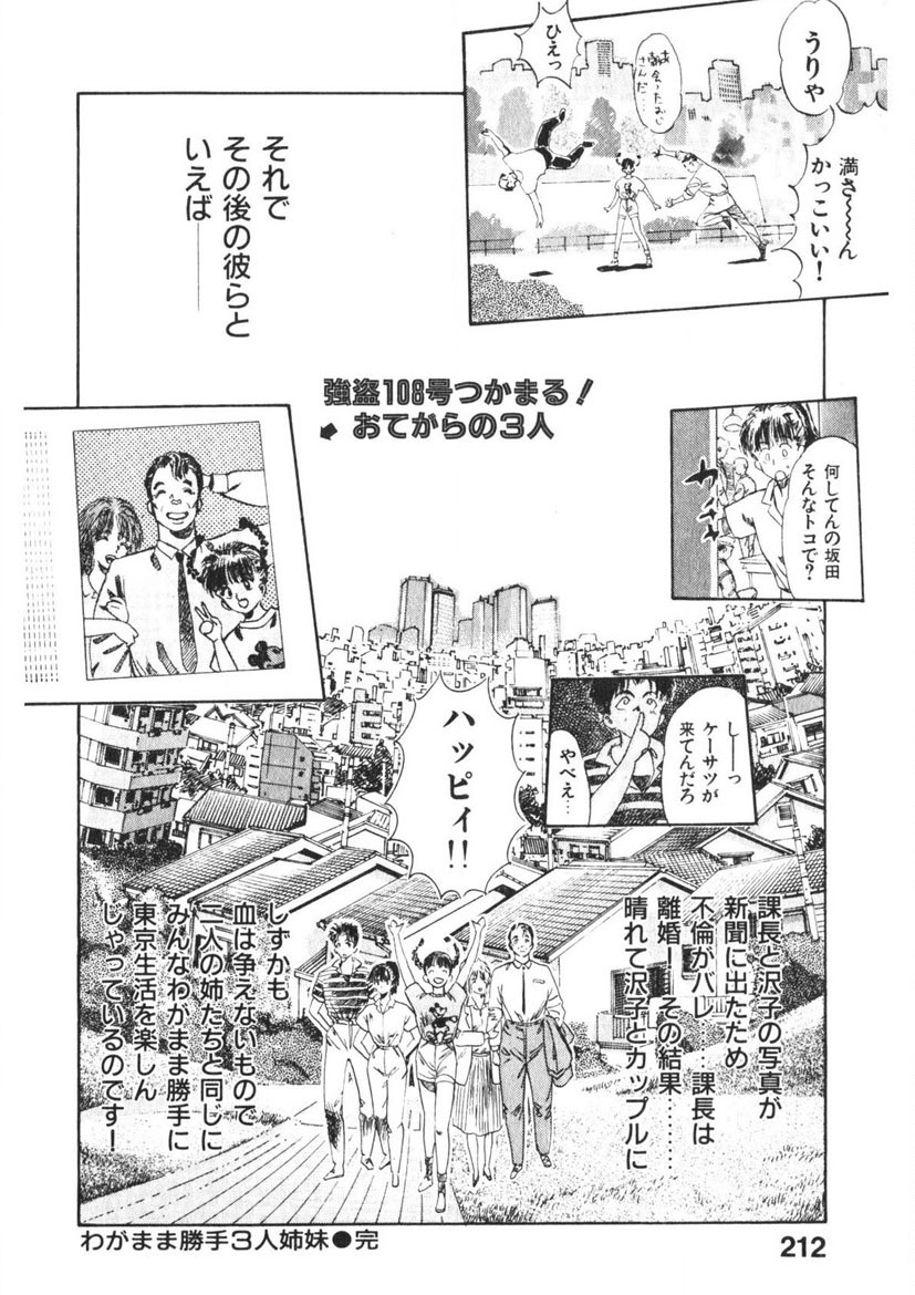 Otome no Onegai Vol. 2 - Page 211