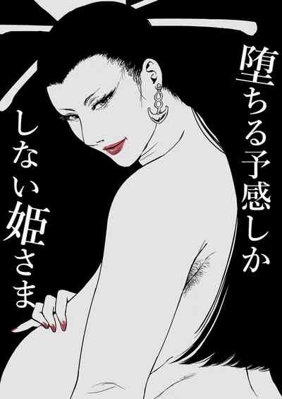 Ochiru Yokan Shika Shinai Himesama 1