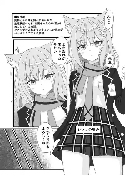 Kivotos no Hatsujouki Shiroko no Baai Kikyou no Baai 2
