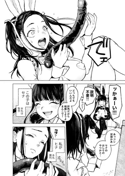 Futago Gyaku Bunny Goui Daikaiten 3